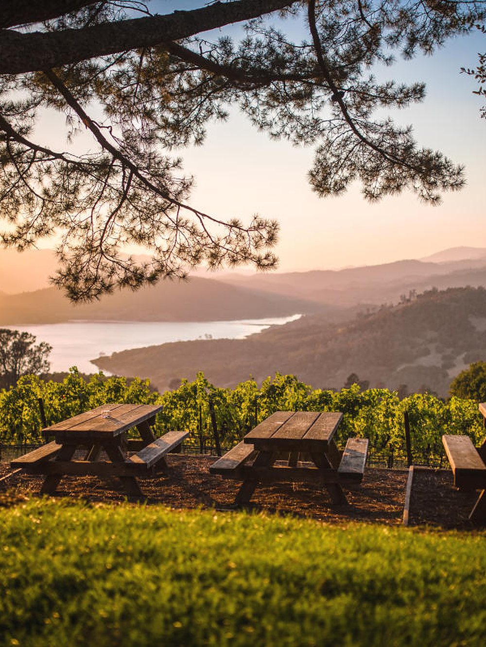 Vinícola em Napa Valley ao entardecer